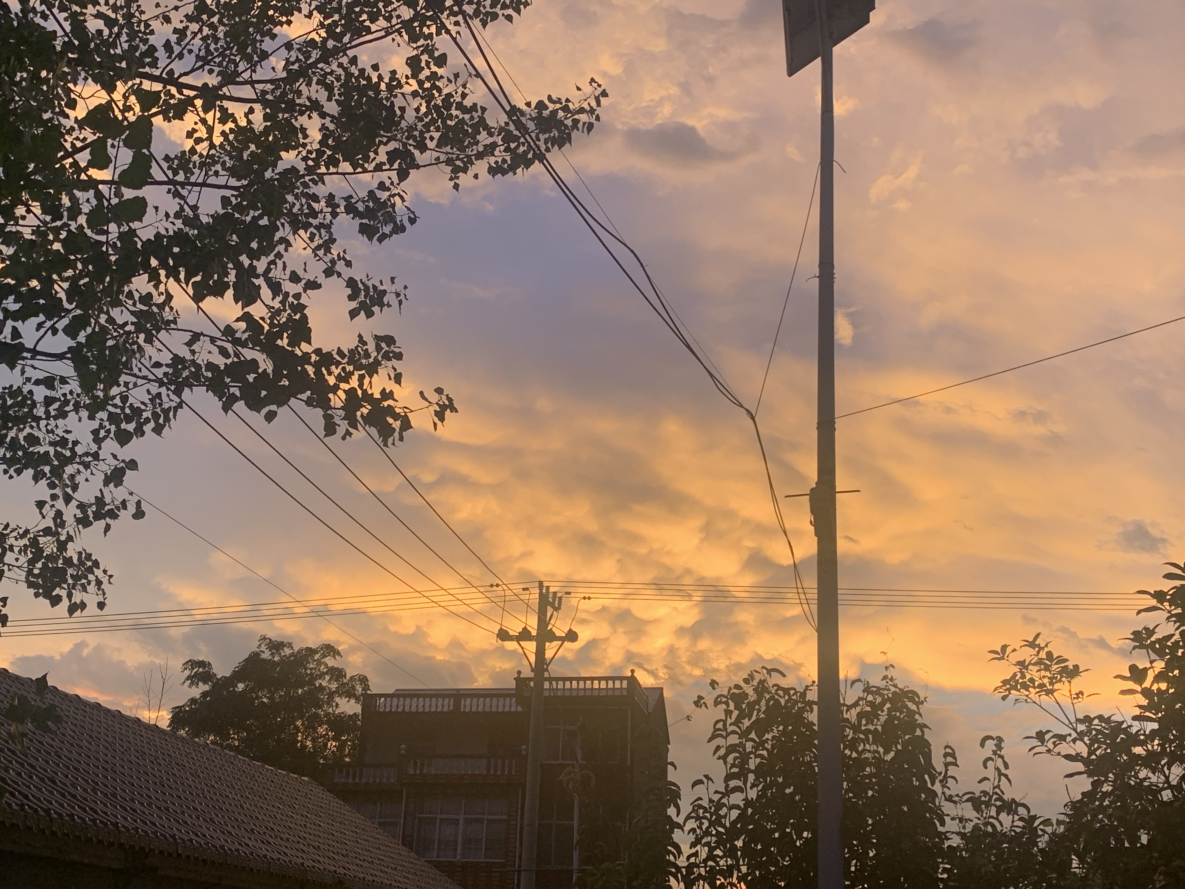 IMG_8776.jpeg