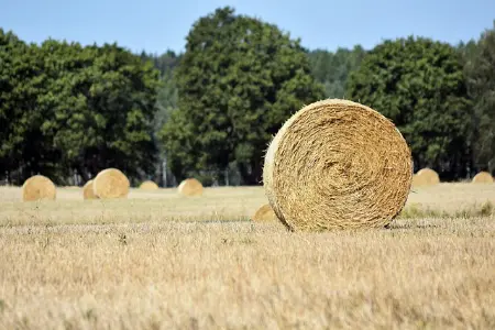 Typecho去除后台官方日志和版本更新检测