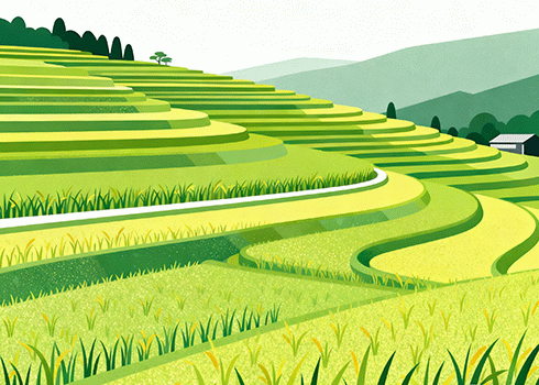 期待过年？已成过去